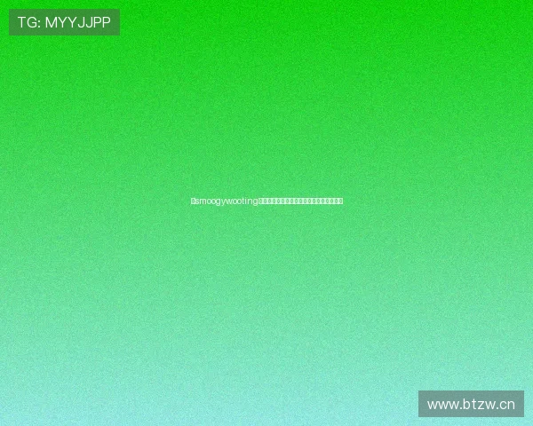 以smoogywooting代码为核心的系统设计思路与实现路径研究